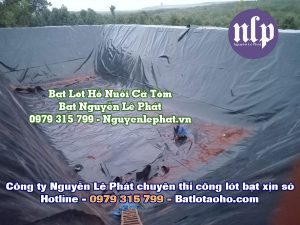 Bạt Lót Hồ Chứa Nước Nuôi Cá Tôm Ốc, Lươn 0.5mm, 0.3mm tại Nhà Bè, Quận 7